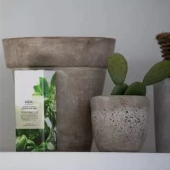 Bath & Body Salus Cedarwood & Basil Cleansing Hand Wash 500ml