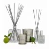 Flower Box Fresh Lemongrass Mini Diffuser 200ml Candles And Diffusers