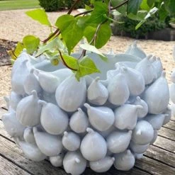 Lulu And I Self Home Gift Decorative Mode Fig Ceramic Vase Large