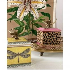 C.A.M - Creatively Active Minds Jungle Trinket Box - Jaguar