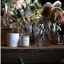 Salus Lemongrass Soy Porcelain Candle