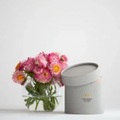 Salus Rose Geranium Soy Porcelain Candle Candles And Diffusers